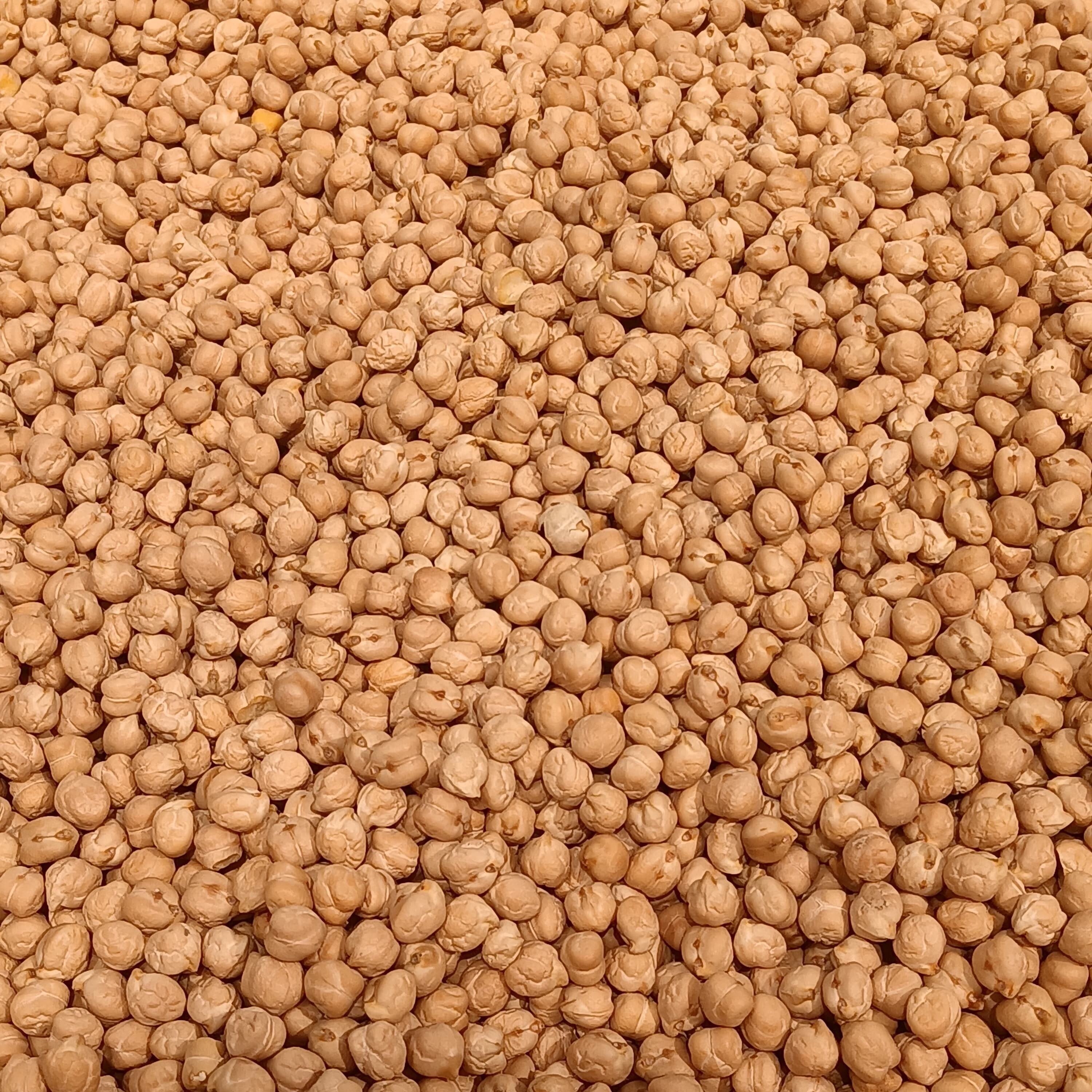 Kabuli Chana 10mm Bold