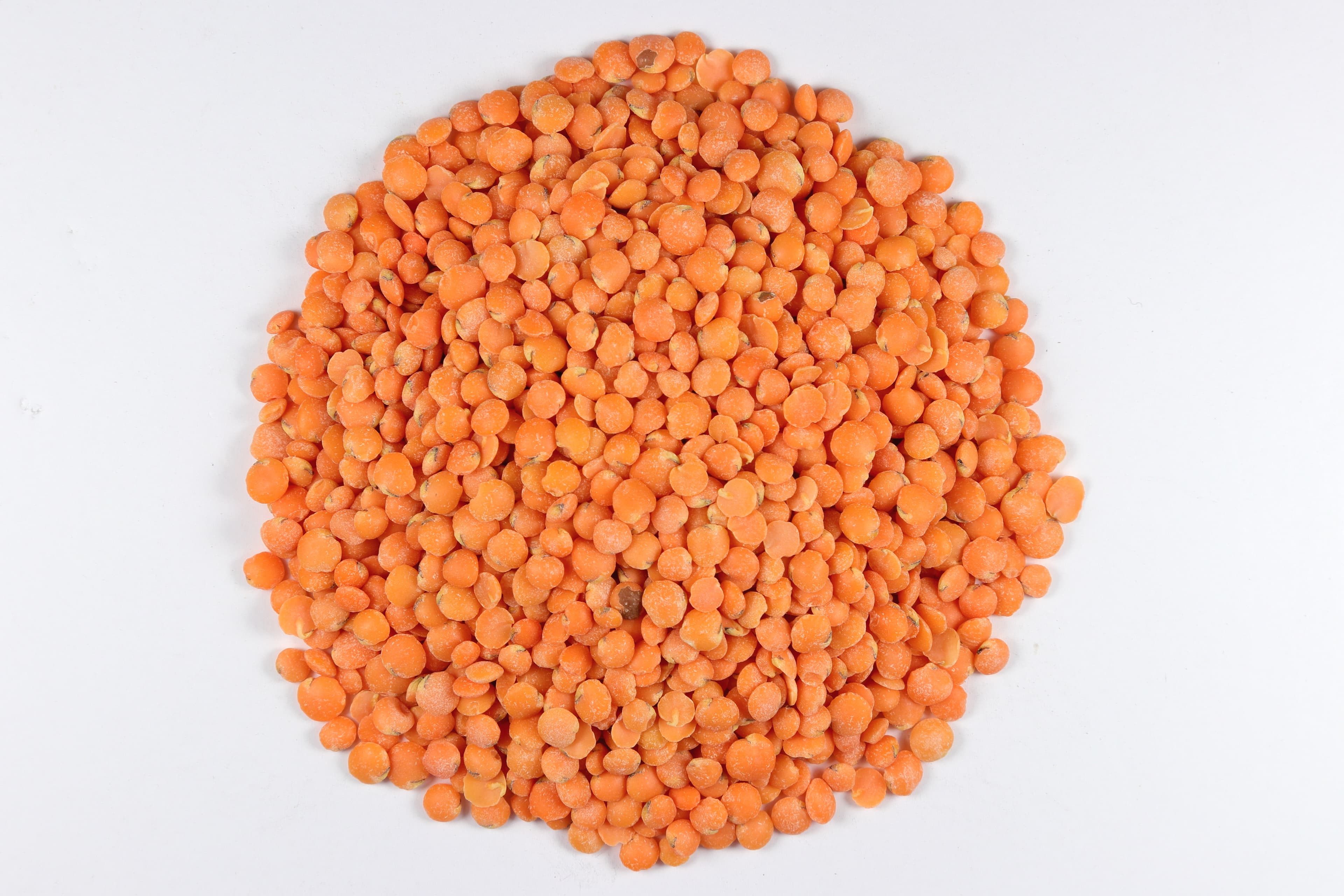 Red Lentils (Masoor Dal)