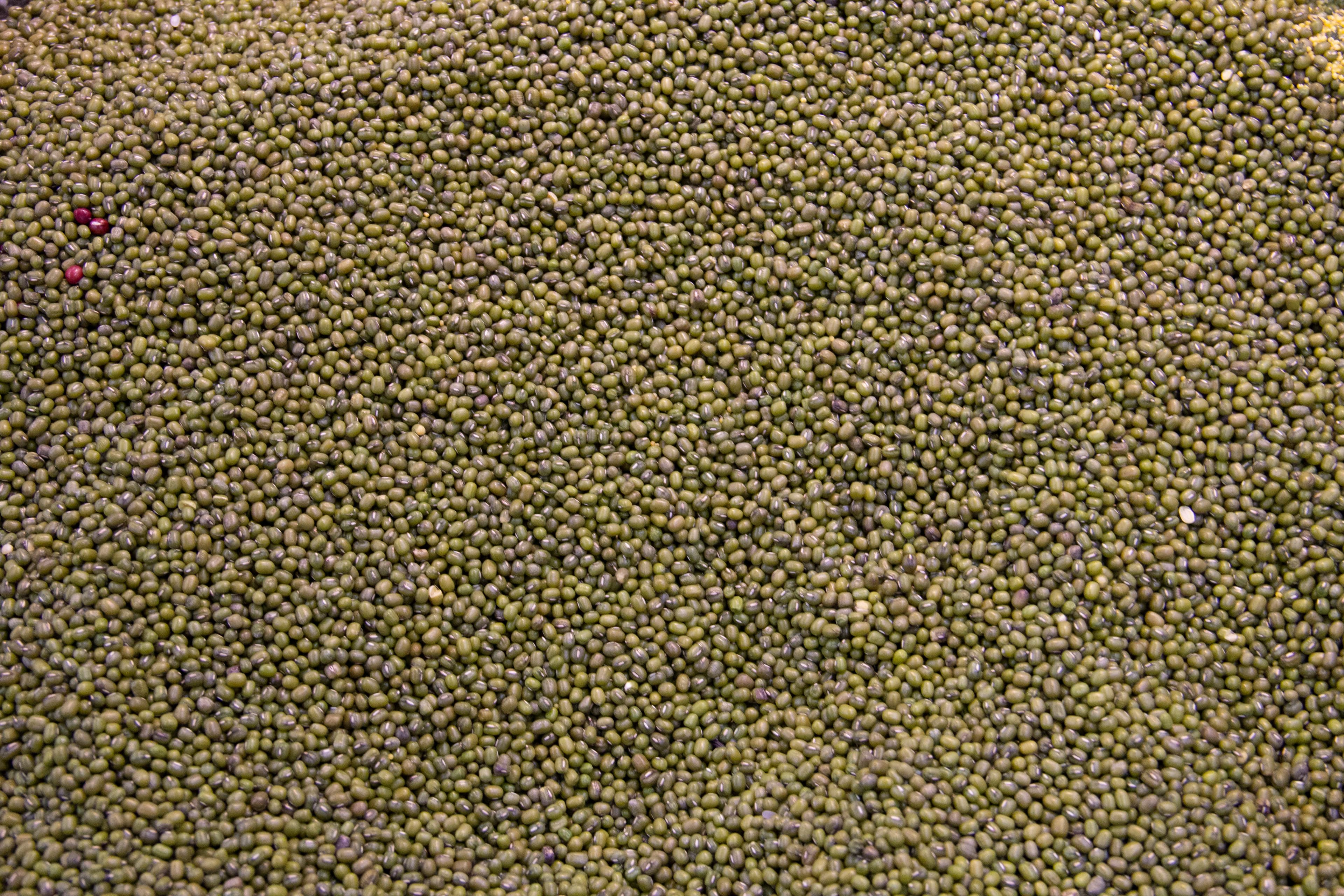 Green Mung Beans (Moong)